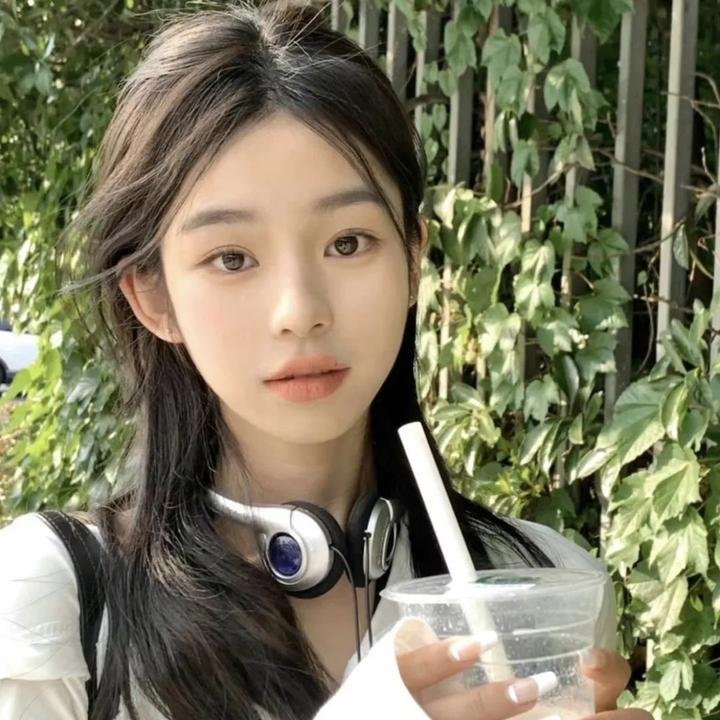 小甘罗拜相粤语